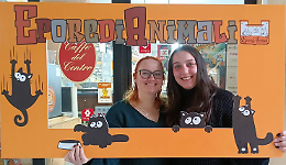 Ivrea pedala per il Gattile: il 15 marzo debutta la gravel solidale &ldquo;100% Gatto&rdquo;