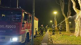 Petardi nel tronco di un platano: parco giochi del Canavese trasformato in teatro di vandalismo