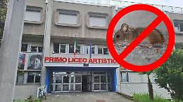 Topi al Primo Liceo Artistico di Torino, avviata la derattizzazione