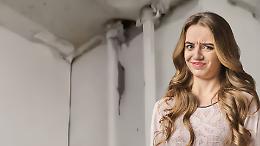 Topo tra i banchi al liceo artistico di Torino: scatta l&rsquo;allarme igiene nella scuola