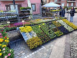 Tra natura e cultura torna la Fiera di San Giuseppe a San Secondo di Pinerolo