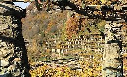 Il Canavese celebra la Giornata del Paesaggio con un convegno a Borgofranco dedicato ai terrazzamenti del Mombarone
