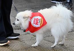 Propaganda a scuola o semplice lezione? La replica di Lotito sul caso Olivetti