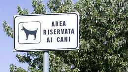 A Settimo Torinese il grande mistero del cancello chiuso (che potrebbe diventare un&rsquo;area cani)