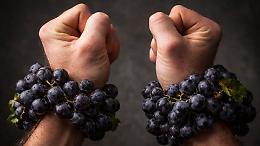 Il lato oscuro del Barolo: milioni di euro di lavoro nero tra le vigne delle Langhe