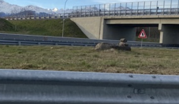 &laquo;Quelle pietre all&rsquo;uscita di Scarmagno: per me sono un piccolo monumento&raquo;