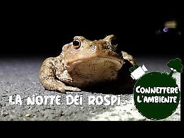 La &ldquo;Notte dei rospi&rdquo; ad Avigliana: volontari e guardiaparco in campo per salvare gli anfibi dall&rsquo;asfalto (VIDEO)