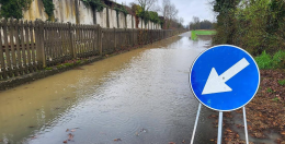 Maltempo nel Torinese, pioggia e vento mettono in ginocchio la collina del Chivassese: alberi caduti, allagamenti e strade chiuse