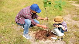 Valperga, gli studenti piantano alberi per il futuro: un gesto concreto per l&rsquo;ambiente