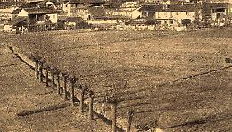 L&agrave; dove stagnava l&rsquo;acqua: la bonifica della palude di Settimo