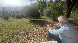 Murisengo punta sugli ulivi: nuova De.Co. agli uliveti del Monferrato