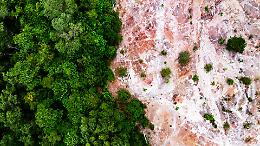 Foreste distrutte, l&rsquo;allarme del WWF: &ldquo;Abbiamo perso un&rsquo;Austria 26 volte&rdquo;