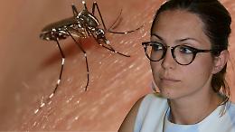 Alle zanzare la sindaca Elena Piastra ci ha pensato? Boh!