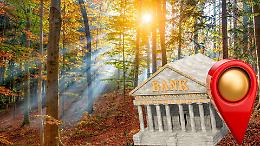 Clima e futuro dei boschi: il Piemonte crea la &ldquo;banca del DNA&rdquo; per salvare le foreste