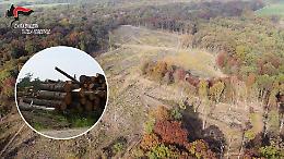 Maxi scempio ambientale: bosco distrutto e 4mila tonnellate di legname rubate nel parco protetto