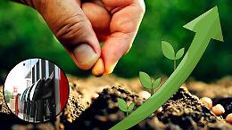 Semine al via, ma con rincari record: agricoltori in difficolt&agrave; tra gasolio e fertilizzanti alle stelle