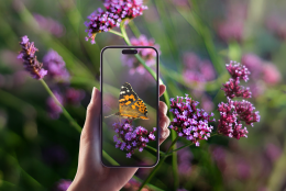 Torino sfida il mondo sulla natura: cittadini in campo per mappare la biodiversit&agrave; urbana