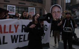 Lobby contro animalisti: a Bruxelles scoppia il caso sugli incontri segreti dell&rsquo;UE