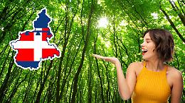 Foreste, il Piemonte guida l&rsquo;Europa: &ldquo;Valgono pi&ugrave; di quanto pensiamo&rdquo;
