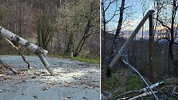 Albero cade e trancia i cavi elettrici a Forno Canavese: traliccio spezzato dal vento