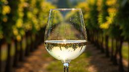 &ldquo;Un calice di Erbaluce&rdquo;, il vino del Canavese diventa racconto