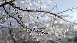 Coldiretti Cuneo, col maltempo rischio gelate nei campi