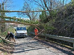 Raffiche violente su Valperga: alberi spezzati e interventi in corso, il Comune attiva il COC
