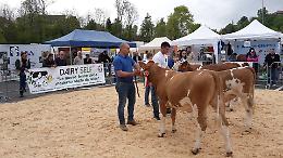 Fiera di San Giorgio, Caselette capitale della zootecnia