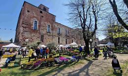 Carmagnola in fiore: torna Ortoflora & Natura 2026