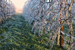 Altro che primavera: gelo estremo sul Monte Rosa, -56 gradi e vento a 140 all&rsquo;ora