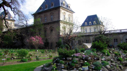 Orto botanico, riapre il cuore verde del Valentino dopo quattro mesi di attesa