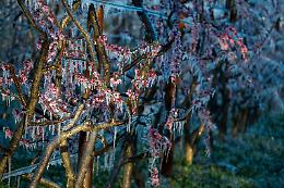 Vento forte in Piemonte, ecco cosa succeder&agrave; marted&igrave; 31 marzo