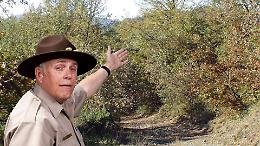 Bosco del Vaj, l&rsquo;Ente Parco replica alle proteste: &ldquo;Lavori necessari dopo l&rsquo;alluvione&rdquo;