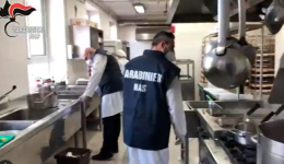 Insetti nei piatti e cibo contaminato nelle mense: la scioccante scoperta dei Nas 