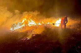Ancora fiamme in Piemonte: colpita la Riserva Naturale