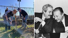 Un albero per Falcone e Borsellino davanti alla scuola: a San Mauro la legalit&agrave; mette radici