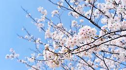 Pasqua con clima estivo in Piemonte: sole e fino a 25&deg;C