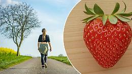 Dal Mulino Sambuy alla Festa delle Fragole:  una camminata unisce territorio e solidariet&agrave;