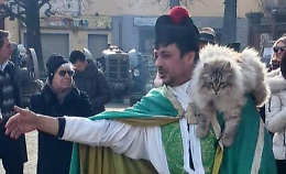 Minima animalia: oves, boves et universa capra