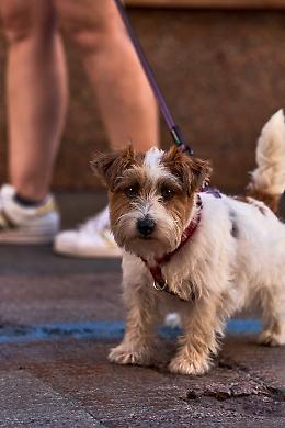 Salute &egrave;&hellip; Camminata Benefica: un passo insieme per il futuro