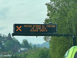 Traforo del Pino chiuso per un albero caduto: traffico nel caos