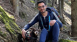 Stai sbagliando con il tuo cane? Gli errori pi&ugrave; comuni da evitare