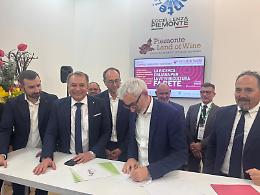 Vino italiano sotto pressione: nasce la super alleanza del Nord per salvarlo (VIDEO)