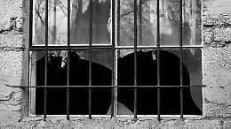 Carceri, allarme a Torino: &ldquo;Degrado e esalazioni, condizioni al limite&rdquo;