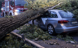 Albero crolla sulla provinciale e centra un&rsquo;auto: tragedia sfiorata a Nole