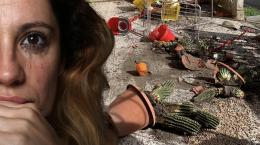 Costretta a fuggire in ciabatte, il giudice assolve il padrone di casa accusato di averla cacciata a calci (VIDEO)