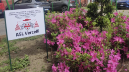 Non solo piante: a Vercelli il giardino diventa strumento di inclusione
