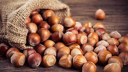 Giandujotto di Torino verso l&rsquo;IGP: tradizione, territorio e filiera in attesa del riconoscimento europeo