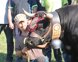 Mezzenile incorona Manila &ldquo;Regina&rdquo; della battaglia 