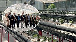 A Lanzo Torinese nasce la scuola del futuro: inaugurata la serra idroponica da 900mila euro
